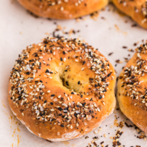 Close up photo of a cottage cheese bagel, ready to eat.