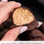 Chocolate covered peanut butter protein balls with a hand holding a half of a bite. Pinnable image,